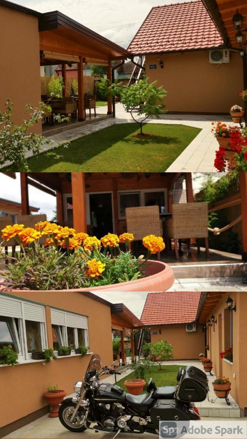 Villa Klara Novi Sad Ngoại thất bức ảnh