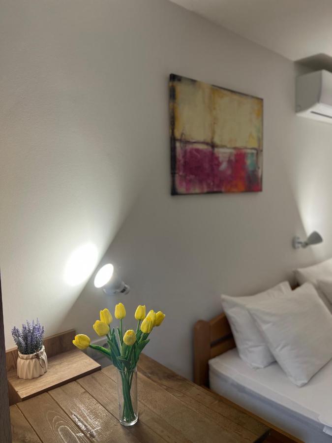 Villa Klara Novi Sad Ngoại thất bức ảnh