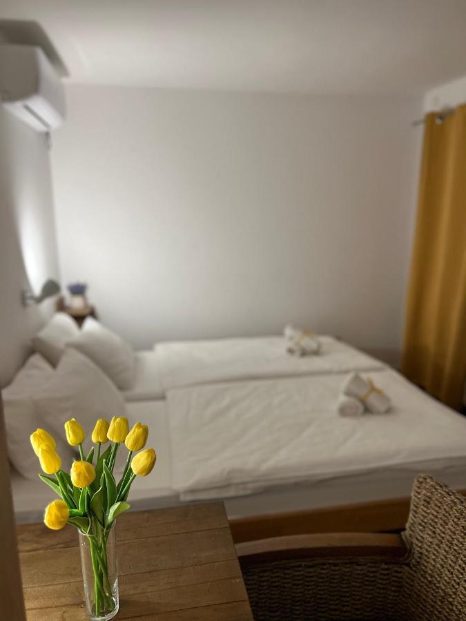 Villa Klara Novi Sad Ngoại thất bức ảnh