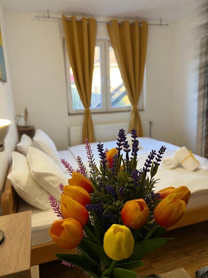 Villa Klara Novi Sad Ngoại thất bức ảnh