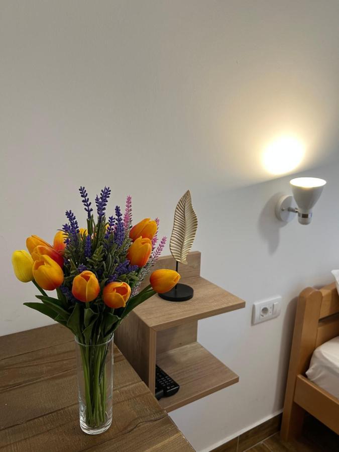 Villa Klara Novi Sad Ngoại thất bức ảnh